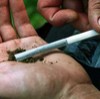 Боец 'Айдара': в батальоне курит травку и пьет где-то процентов 80 солдат