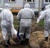 'Чудова' инфекция