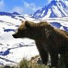 Россия сегодня смотрит на Восток