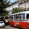 Исповедь коренного киевлянина