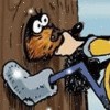 И тут пришел лесник или охота на медведя.