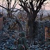 Донбасс в составе Украины