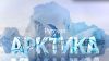 Инфографика: арктическое логово русских медведей (русская АРКТИКА) русская АРКТИКА
