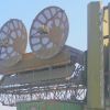Мертвые воронки и смертельные конфликты интересов