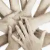 Солидарное общество
