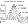 Занимательно об этологии человека и других высших животных (социум) социум