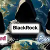 BlackRock, Vanguard и State Street. Бизнес, построенный на крови