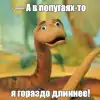 Россия и попугаи