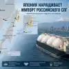 Без российских нефти и газа Япония навряд ли 'дееспособна'