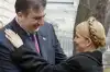 Ручные болонки Юлии Тимошенко (Ручные болонки Тимошенко: в Украине под Юлю легли сразу три партии) Ручные болонки Тимош…