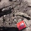Новости Сирии 17 апреля 2017 16.30