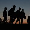'Новая Европа' отказывается от мигрантов с Востока. Но виноваты русские (Беженцы на сербско-венгерской границе. Архивное фото) Беженцы на сербско-в…