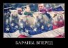 Слава Навальному! Герою сала!