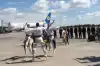 Бегущих из Украины патриотов провожают в Борисполе гопаком (Бегущих из Украины патриотов провожают в Борисполе гопаком) Бегущих из Украины п…
