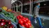 Продукты не справились с сезонностью - Росстат (Продукты не справились с сезонностью | Артем Геодакян/ТАСС) Продукты не справили…