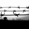Замалчивание правды об убийцах – это тоже поддержка убийц