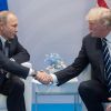 В Гамбурге прошла первая встреча Путина и Трампа (Президент России Владимир Путин и президент США Дональд Трамп во время встречи на саммите G20 в Гамб…) Президент России Вла…