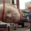 О проблемах политического либерализма