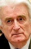 Die Presse: Сербию и Россию возмутил 'политизированный' приговор Караджичу