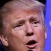 'Устаревшая организация': Трамп продолжает призывать к роспуску НАТО