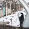 Донбасс сегодня: артудар по ДНР и 'секретный приказ' Захарченко