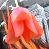 Годовщина трагедии в Одессе, никаких судебных решений