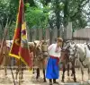 Про украинский язык