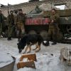 Сводка о событиях в ДНР и ЛНР за неделю 10-16 марта