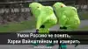 Умом Россию не понять, Харви Вайнштейном не измерить