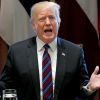'Мнимая готовность': Трамп рассматривал возможность удара по российским объектам в Сирии (Мнимая готовность: Трамп рассматривал возможность удара по российским объектам в Сирии) Мнимая готовность: Т…