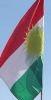 Сирийский Курдистан: от 'Оливковой Ветви' к 'Fallen state'