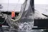 Путин поручил до 15 июня внести поправки в законы о рыболовстве (Промышленная рыбалка) Промышленная рыбалка