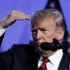 Неофициальная компенсация: истинная причина встречи Трампа и Путина