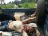 ЦАР: убийство трех российских журналистов: игра Франции? (18+)