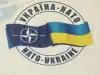 Дмитрий Родионов. НАТО берет под крыло Украину (НАТО берет под крыло Украину) НАТО берет под крыло Украину