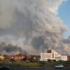 Вредители в Тольятти