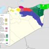 Пост-американское будущее сирийских курдов