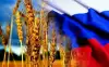 Пшеничный лоббизм: американцы испугались рекордов российского сельского хозяйства
