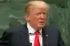 Трамп и Путин — братья навек