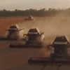 Помню, когда я был ещё совсем юн, я часто выходил в поле