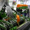 Скоро пройдёт Агросалон