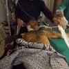 Сирия сегодня: эвакуация раненых из Алеппо, поставки ПЗРК боевикам