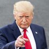 США бьют по окружению Путина, желая окончательно запугать Кремль (На фото: президент США Дональд Трамп (Фото: Michael Brochstein/ZUMAPRESS.com/Global Look Press)) На фото: президент С…