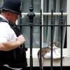 Скотланд-Ярд ищет 'след Путина' (Сотрудник британской полиции на Даунинг-стрит, 10 в Лондоне | © REUTERS / Peter Nicholls) Сотрудник британской…