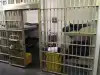 Восстание современных рабов.