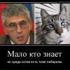 Либерализм для чайников