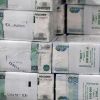 Три триллиона рублей ежегодно сквозь пальцы правительства (Фото: Артем Геодакян/ТАСС) Фото: Артем Геодакян/ТАСС