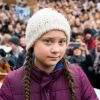Год зелёной девочки Тунберг