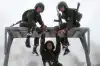 Росгвардия готова