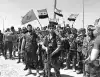 Военные победы Асада вызвали у Эрдогана истерику (Успехи сирийской армии в последнее время крайне встревожили Турцию) Успехи сирийской арм…